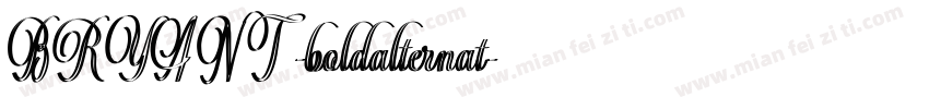 BRYANT -boldalternat字体转换